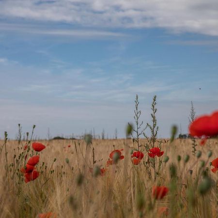Le Manoir De La Valette Bed & Breakfast Florennes ภายนอก รูปภาพ