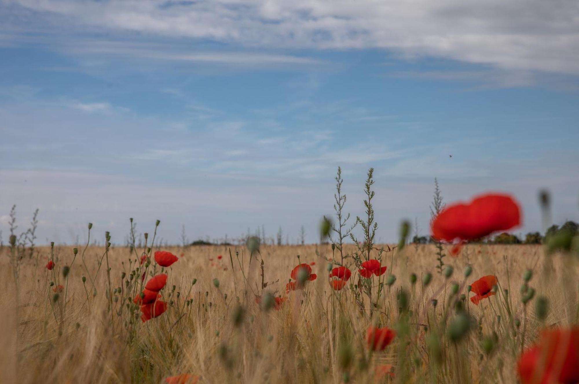 Le Manoir De La Valette Bed & Breakfast Florennes ภายนอก รูปภาพ